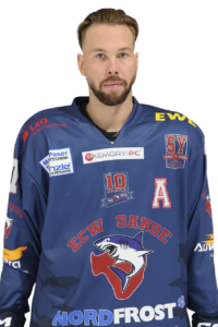 Artem Lesnikov